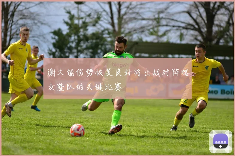 谢文能伤势恢复良好将出战对阵喀麦隆队的关键比赛